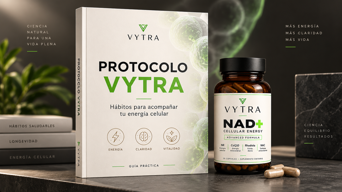 PROTOCOLO DIGITAL VYTRA - Hábitos para acompañar tu energía celular